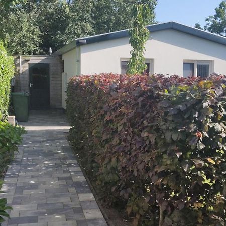 Vakantiebungalow Texel De Cocksdorp  Luaran gambar