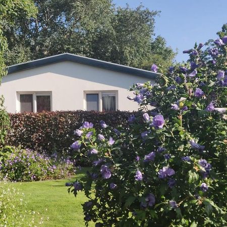 Vakantiebungalow Texel De Cocksdorp  Luaran gambar
