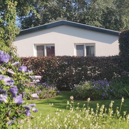 Vakantiebungalow Texel De Cocksdorp  Luaran gambar