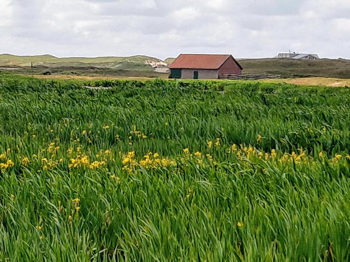 Vakantiebungalow Texel De Cocksdorp  Luaran gambar