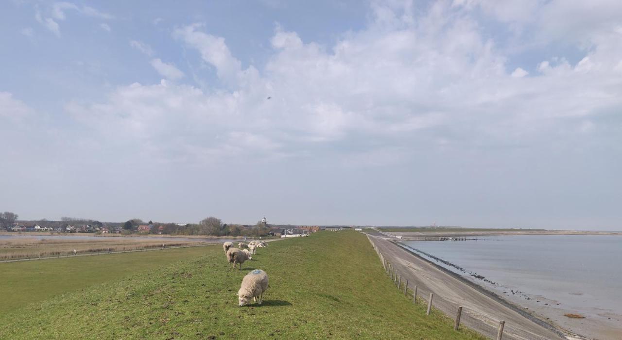 Vakantiebungalow Texel De Cocksdorp  Luaran gambar