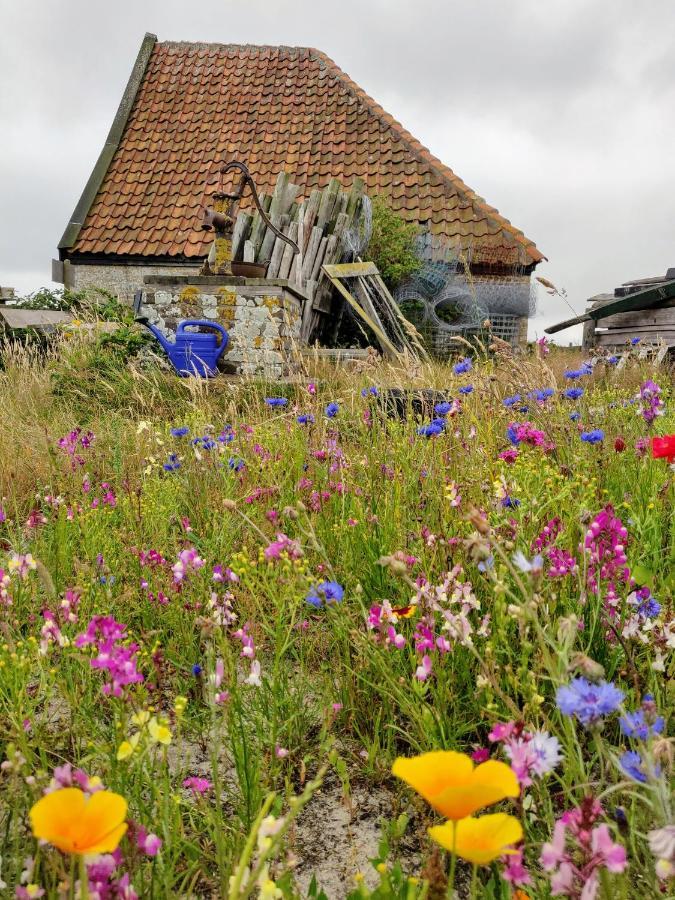 Vakantiebungalow Texel De Cocksdorp  Luaran gambar