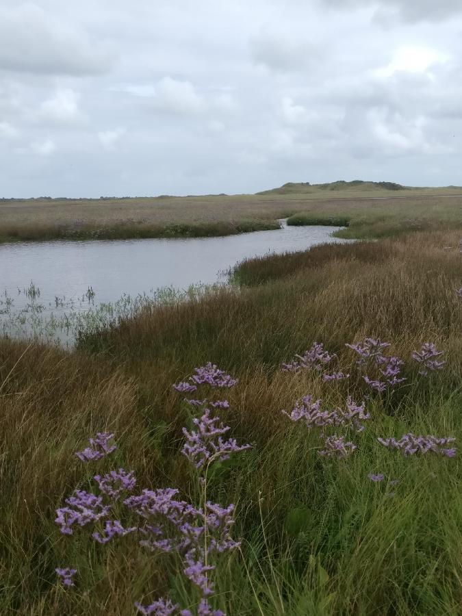 Vakantiebungalow Texel De Cocksdorp  Luaran gambar