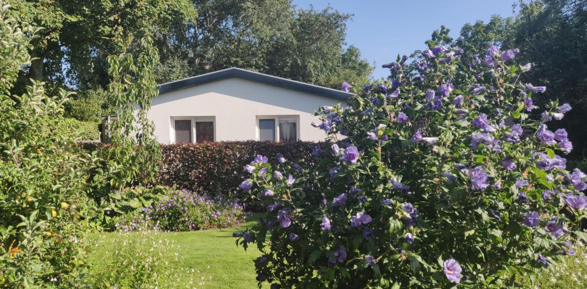 Vakantiebungalow Texel De Cocksdorp  Luaran gambar